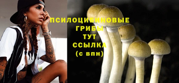 молекула духа Вяземский