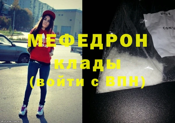 молекула духа Вяземский