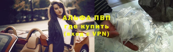 ГАЛЛЮЦИНОГЕННЫЕ ГРИБЫ Вязьма