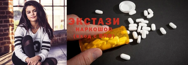 молекула духа Вяземский