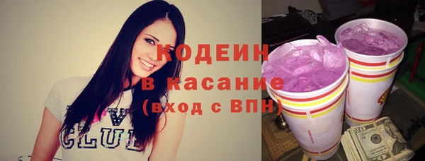 молекула духа Вяземский