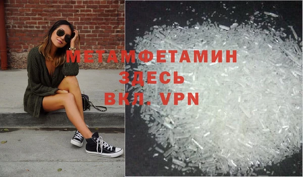 молекула духа Вяземский
