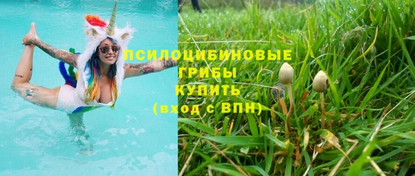 дмт Гусиноозёрск