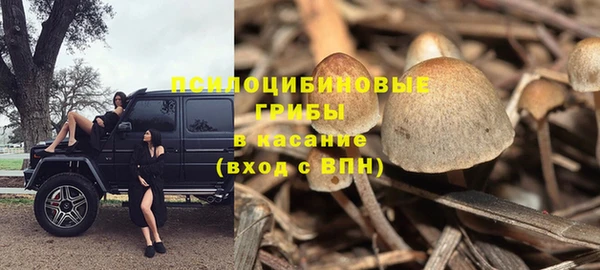 mdma Медногорск