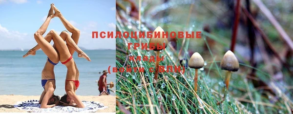 метадон Гусев