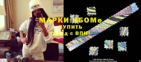 молекула духа Вяземский