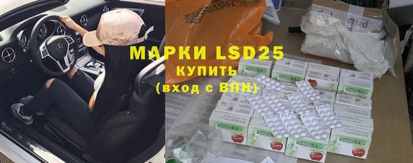 ГАЛЛЮЦИНОГЕННЫЕ ГРИБЫ Вязьма