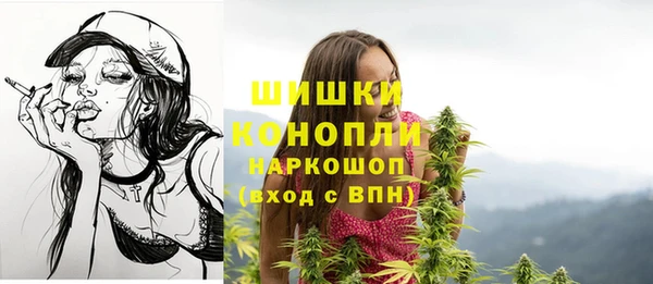 PSILOCYBIN Медвежьегорск