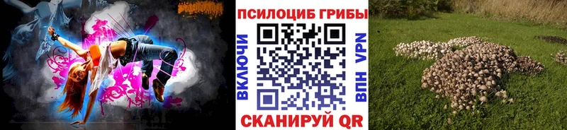 где можно купить наркотик  Долинск  Псилоцибиновые грибы Cubensis 